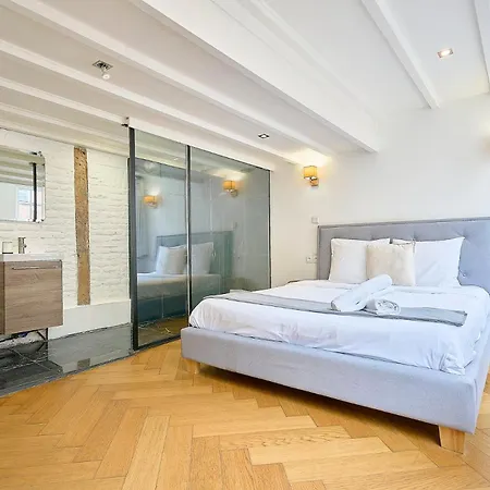 Duplex D'architecte Avec 3 * Lille